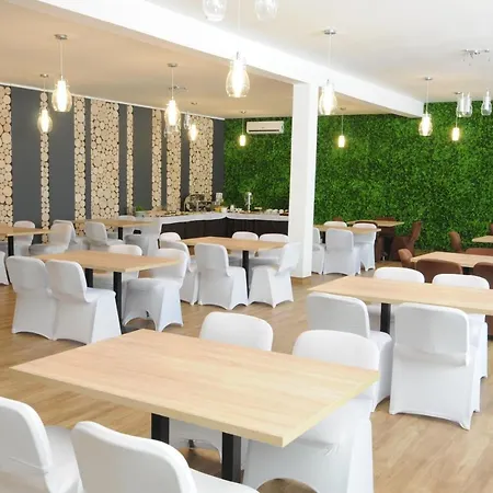 Domki Wakacyjne Delfin * Ślesin